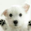 Mason Hickman - @masonh0906 - Twitter