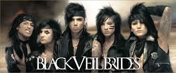 BVB ARMY 4LIFE