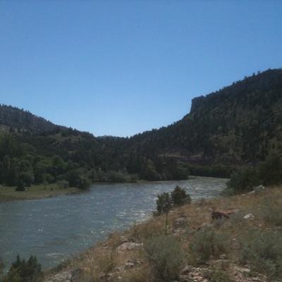 gusmcruz's profile picture. 