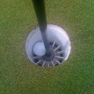 I know a lot of stuff about stuff. I still have a lot of stuff to learn. Go Green! Thoughts are my own. Seed Product Manager - Advanced Turf Solutions