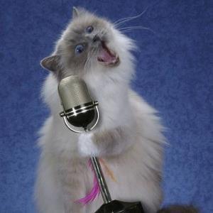 BestTweetsAway's profile picture. 