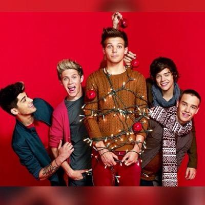 Another One Direction fangirl account beacause Twitter Doesent have enough of those