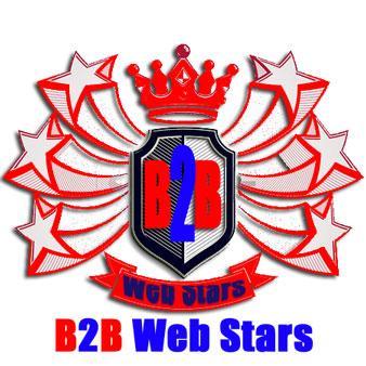 Your business deserves to shine like a star on the web. Position your business as a B2B Web Star Now!
