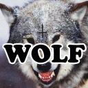 Max Lutz - @NotGoodAt - Twitter