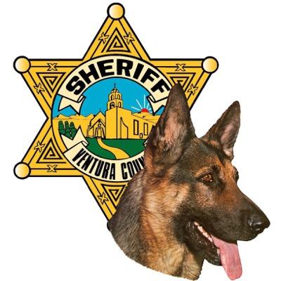 The official Twitter of the Ventura County Sheriff K9 Unit. Seven K9 teams dedicated to fighting crime & keeping citizens safe! Facebook & Instagram: vcsdk9unit