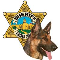 VC Sheriff K9 Unit(@vcsdk9unit) 's Twitter Profile Photo