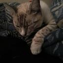 Philip Ortiz - @Philgop - Twitter