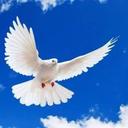 امل الحياة (@005pN) Twitter