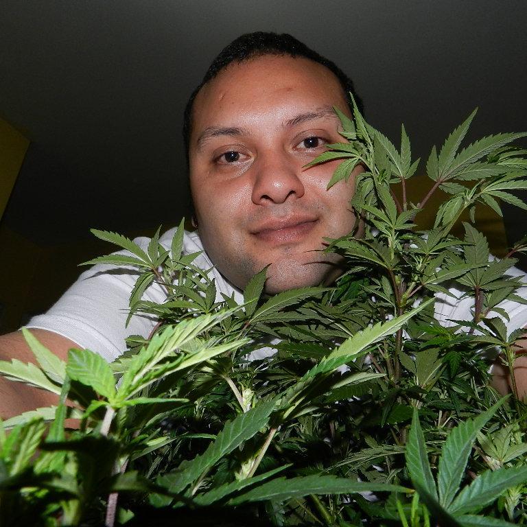 sSChangeSs's profile picture. Sushi Chef... La Causa Nikkei