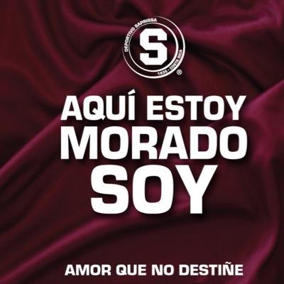 #Quelindosermorado. Ser del Saprissa es un sentimiento inexplicable.
