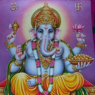 trainfan17's profile picture. 