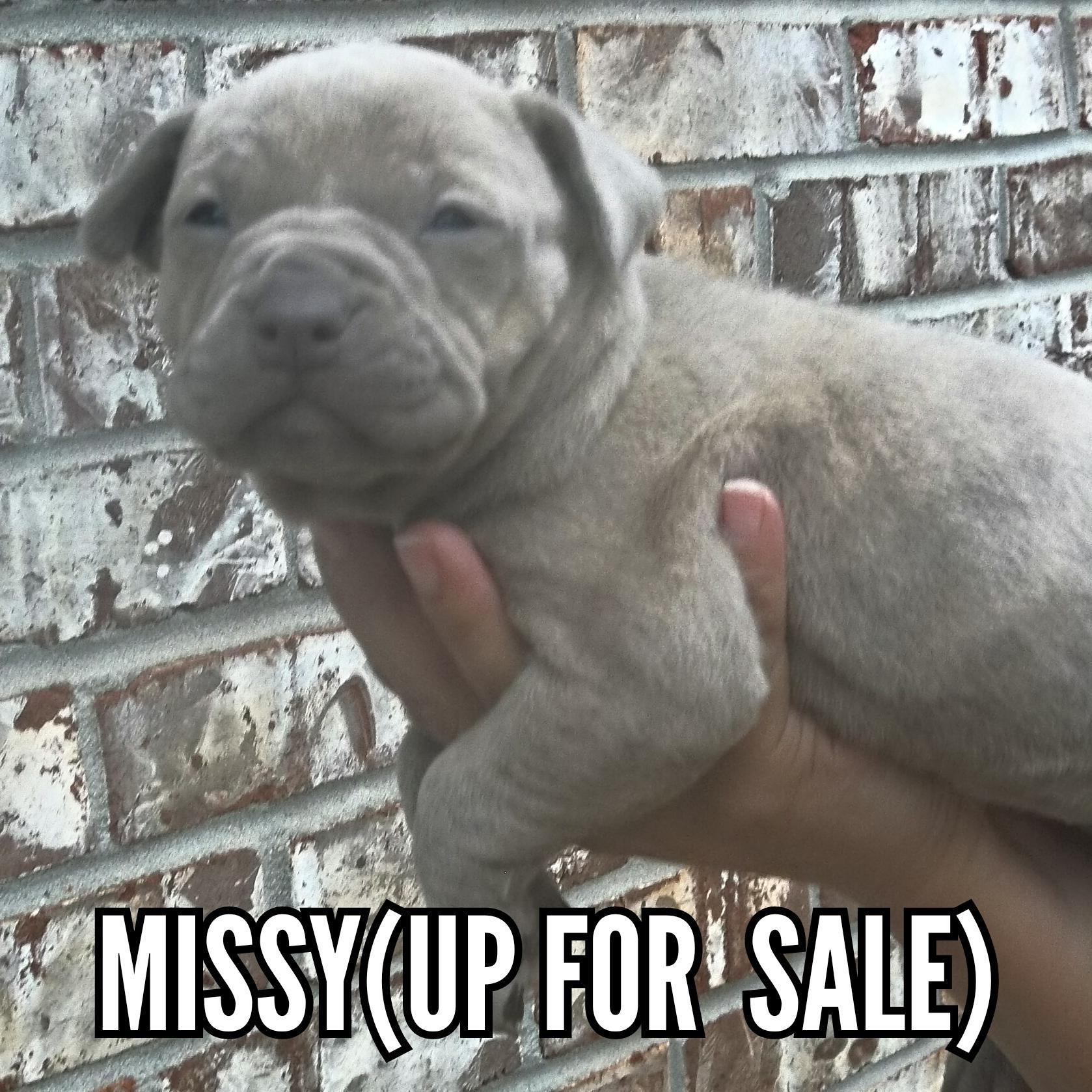 AtlantaBully's profile picture. 