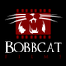 Bobbcat Films (@BobbcatFilms) Twitter profile photo