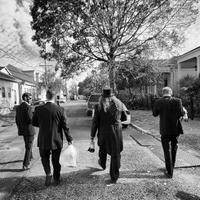 We The Curators (@wethecurators2) 's Twitter Profile