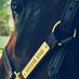 Success Stud (@successstud) Twitter profile photo Success Stud (@successstud) Twitter profile photo
