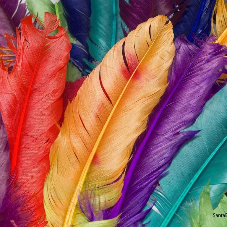 Satesh86's profile picture. 