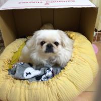 ジャックダニエル (@yasususususum) Twitter profile photo