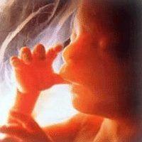 Official Twitter for Connecticut Right to Life.
Defending Life from Conception until Natural Death. With Life, there is Hope!