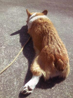 iaaioo_'s profile picture. 