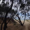 Wayne Mackey - @waynemackey3 - Twitter