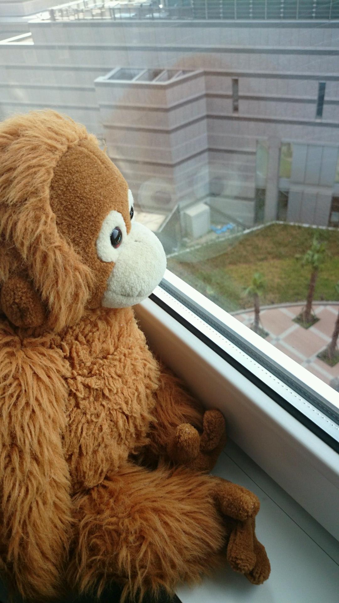 うーたんページ 642_0.jpeg