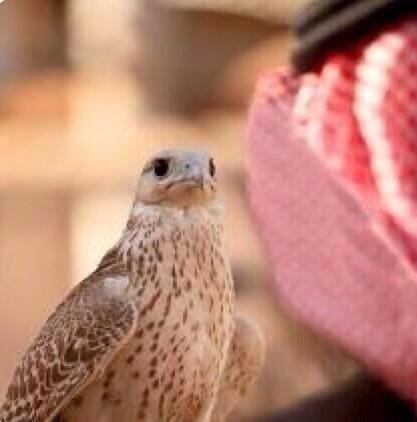 استغفراه الله