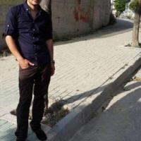 Bağdaç Simon (@bagdacsimon248) 's Twitter Profile