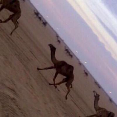 حان الوعد يافآآطري حان