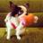 arlgrant10's profile image