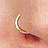 woolywoolshop's profile image