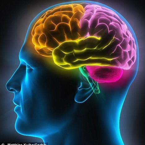 mindtreasure000's profile picture. Inspirational Tweets About Minds