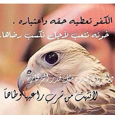 خطابه مسيار الله يوفق الجميع الفلوس اخذها بعد الملكه
