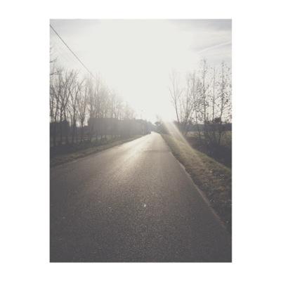 free follow
