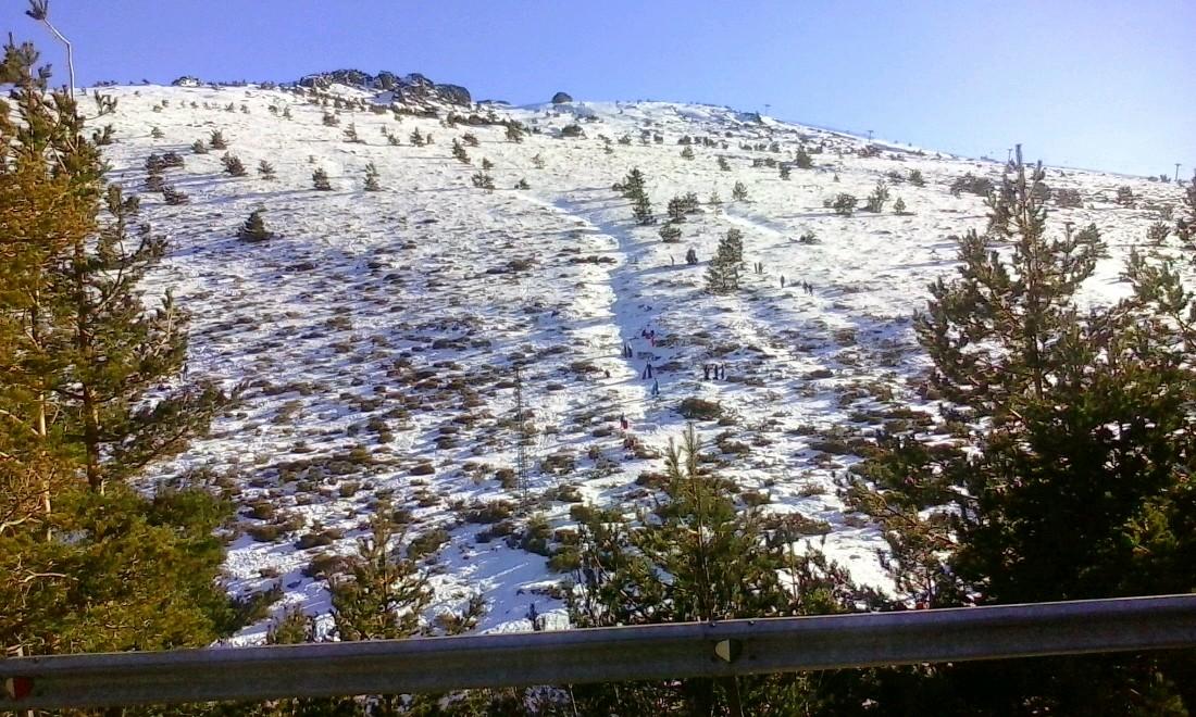 maricarmen0125's profile picture. conductor profecional