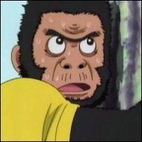 Superfuckingfin's profile picture. 