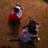karabeth626's profile image