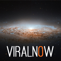 The Official ViralNow Twitter Page. Bringing you the most viral trending stories on the web.http://t.co/M6Q7lBNWEJ