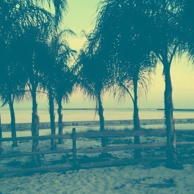 follow for follow