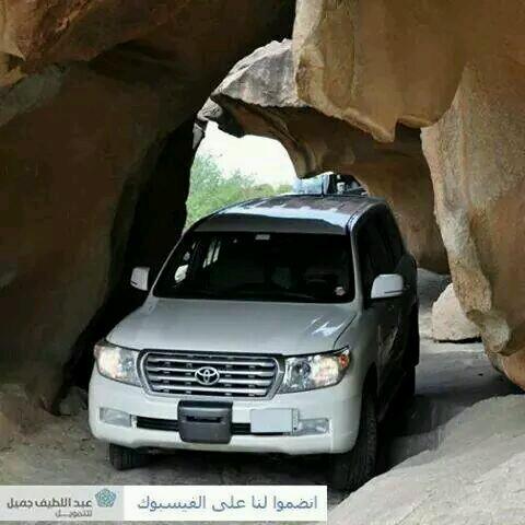 F_H147's profile picture. لا اله الا انت سبحانك اني كنت من الظالمين