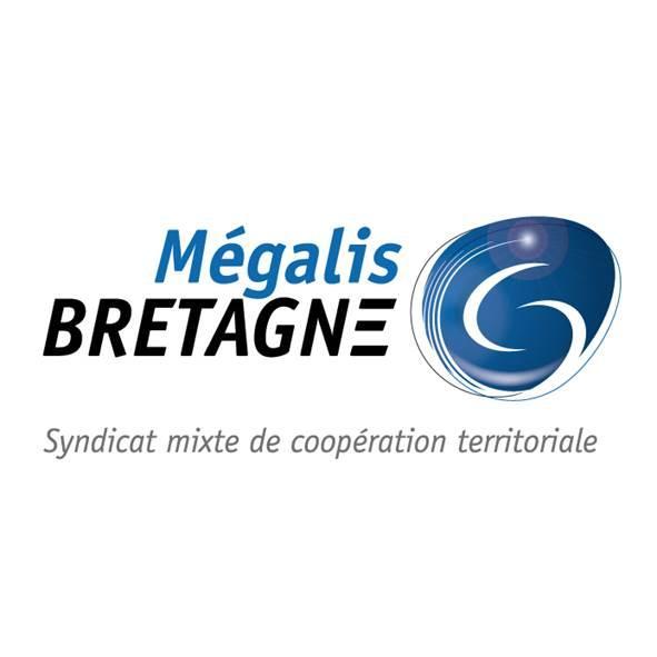 Syndicat mixte de coopération territoriale 
Bretagne Très Haut Débit - Services numériques - Projets coopératifs