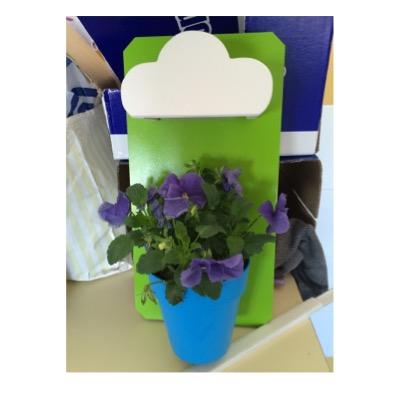 Mini Empresa del IES Julian Zarco. Nos encargamos de darle sentido y color a tus macetas tradicionales !!