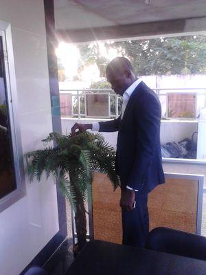 Lloydponeys's profile picture. 