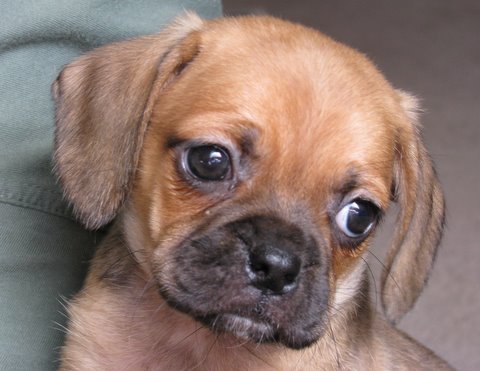 mack785's profile picture. 