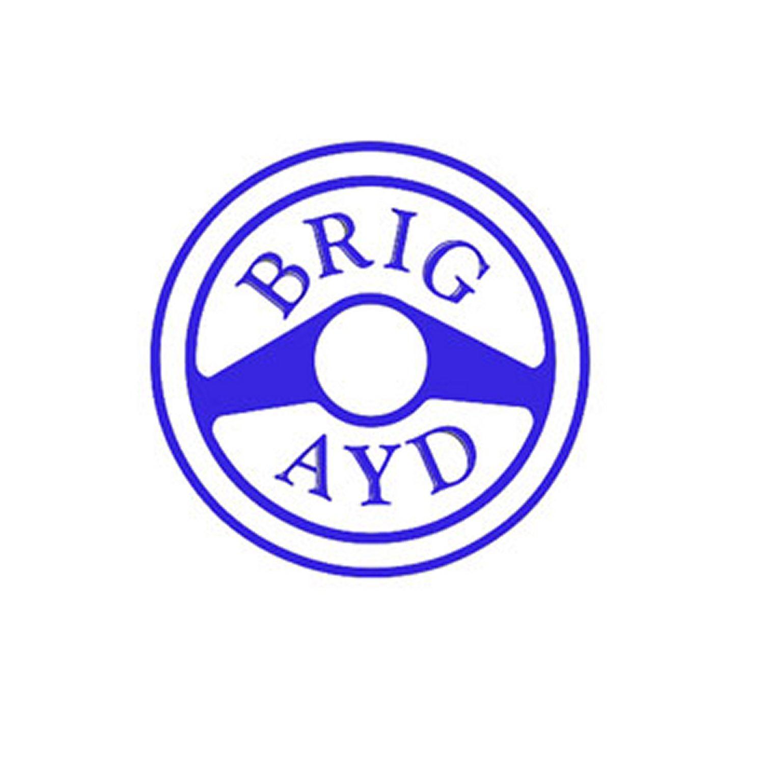 Welcome to Brig-Ayd Controls offering expert supply and installation of wheelchair and scooter hoists, hand controls and left foot accelerators
