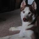 Matt Ferrell - @MattFerrell6 - Twitter