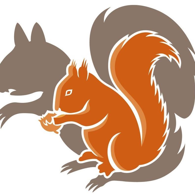 🍂 Securing the future of the red squirrel and woodlands through the effective control of greys 🐿️https://t.co/qZnT6j5Udw