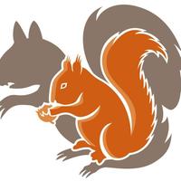 European Squirrel Initiative (@squirrelesi) 's Twitter Profile