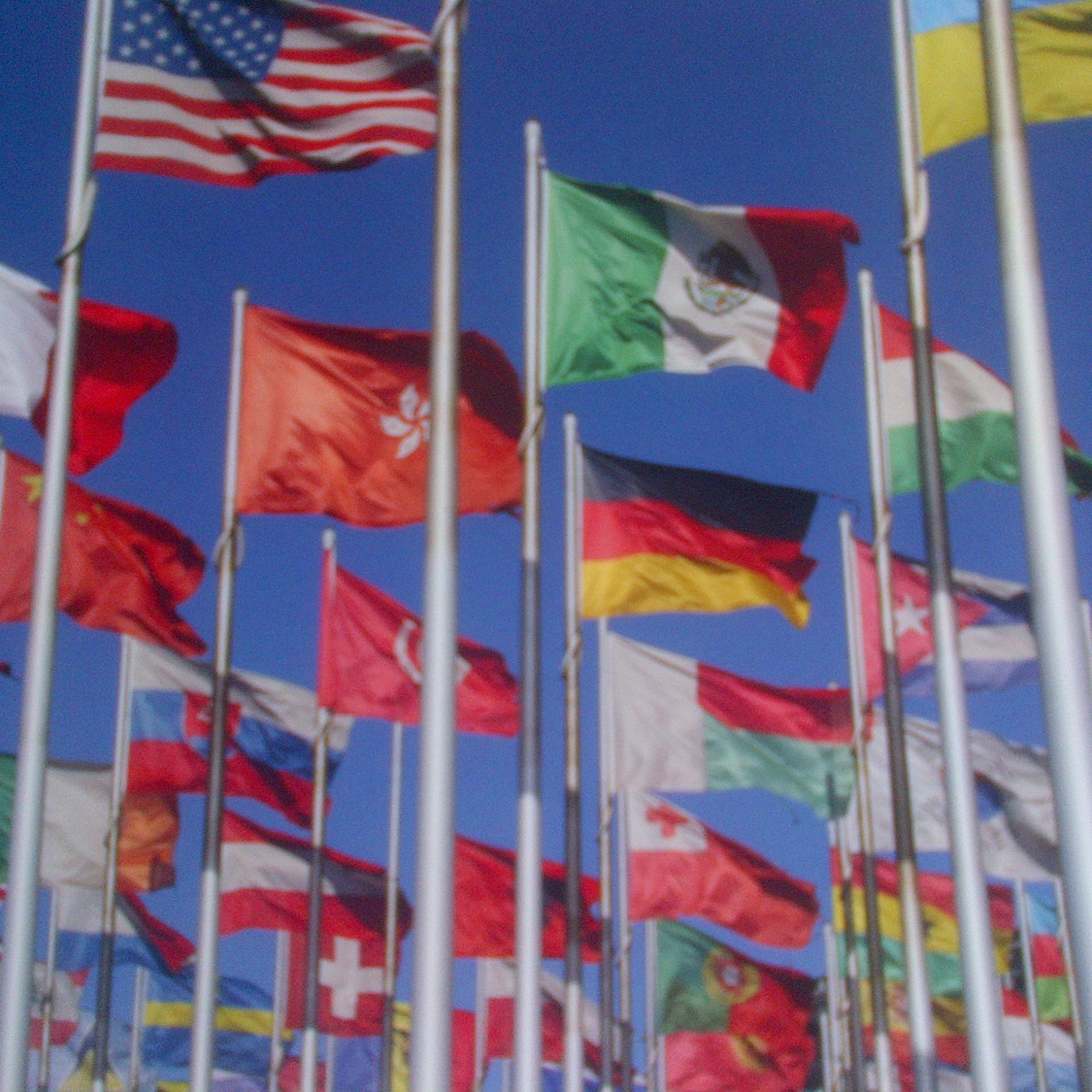 PHacklaender's profile picture. 