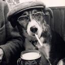 Todd Somers - @1Caferacer - Twitter