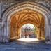 Best of Princeton tweeted image on twitter
